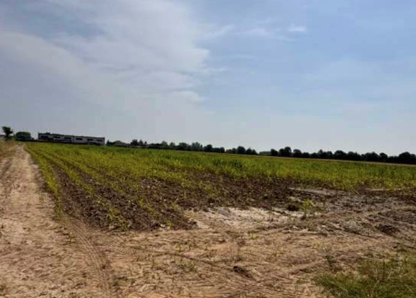 terreno agricolo in vendita a Gazzo Veronese