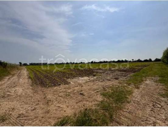 ufficio in vendita a Gazzo Veronese