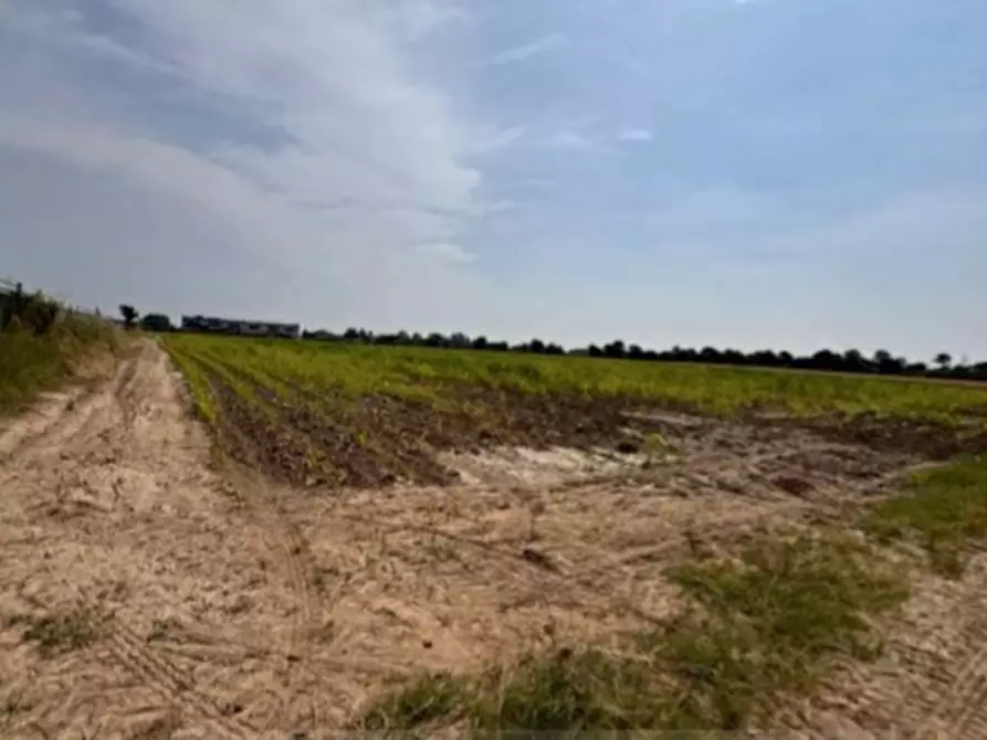 attico in vendita a Gazzo Veronese