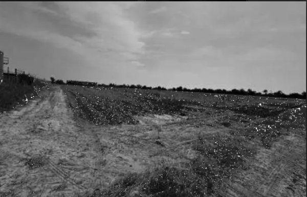 terreno agricolo in vendita a Gazzo Veronese