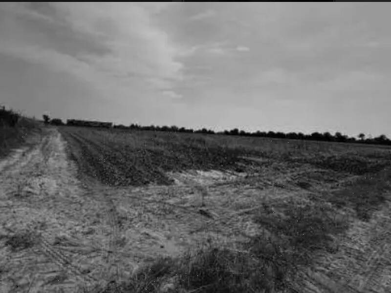 terreno agricolo in vendita a Gazzo Veronese