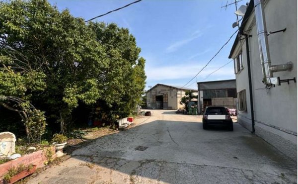 immagine annuncio 0 di 1