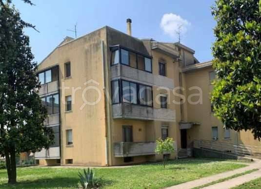appartamento in vendita a Gazzo Veronese