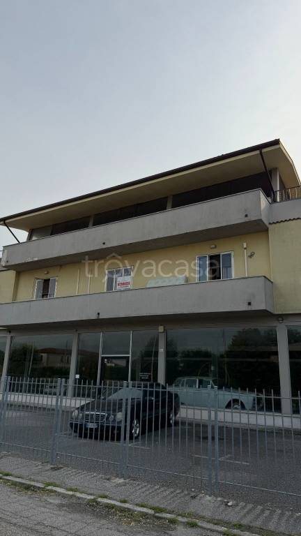 appartamento in vendita a Gazzo Veronese in zona Roncanova