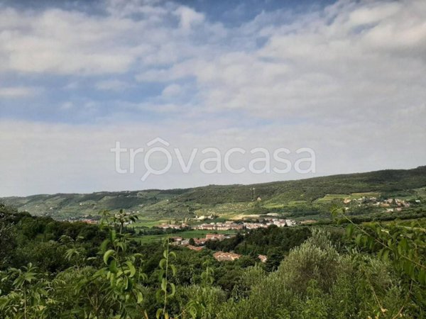 terreno agricolo in vendita a Grezzana