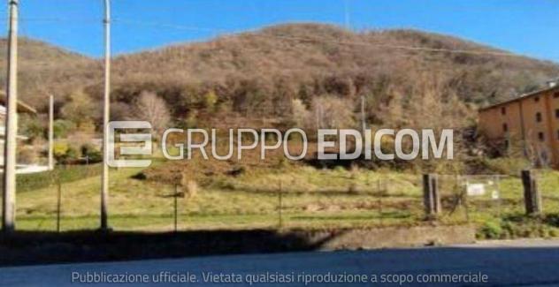 terreno agricolo in vendita a Grezzana