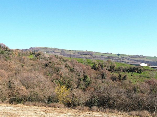 terreno agricolo in vendita a Grezzana