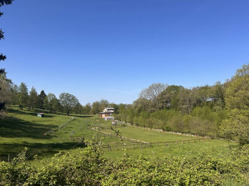 terreno edificabile in vendita a Grezzana