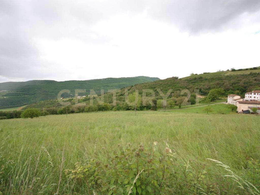 terreno agricolo in vendita a Grezzana