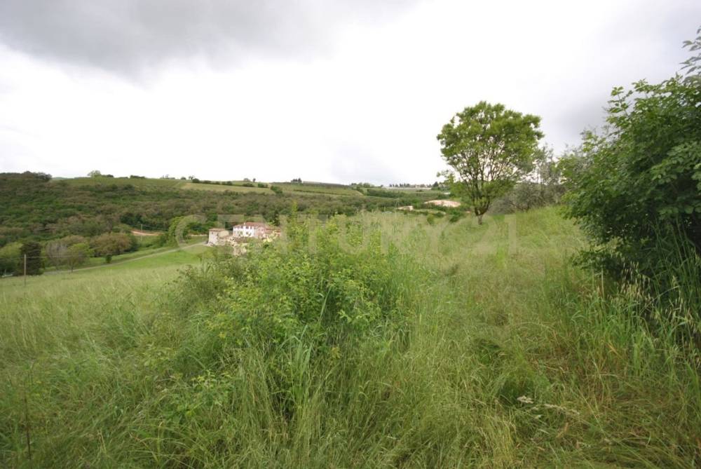terreno agricolo in vendita a Grezzana