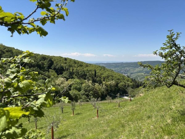 terreno agricolo in vendita a Grezzana in zona Azzago
