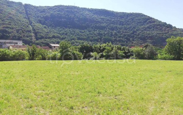 terreno agricolo in vendita a Grezzana in zona Stallavena