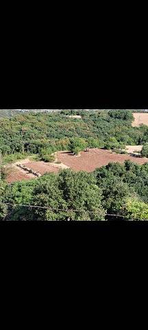 terreno agricolo in vendita a Grezzana in zona Rosaro