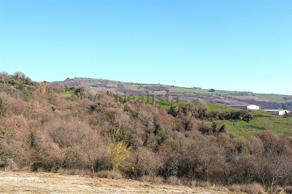 terreno agricolo in vendita a Grezzana