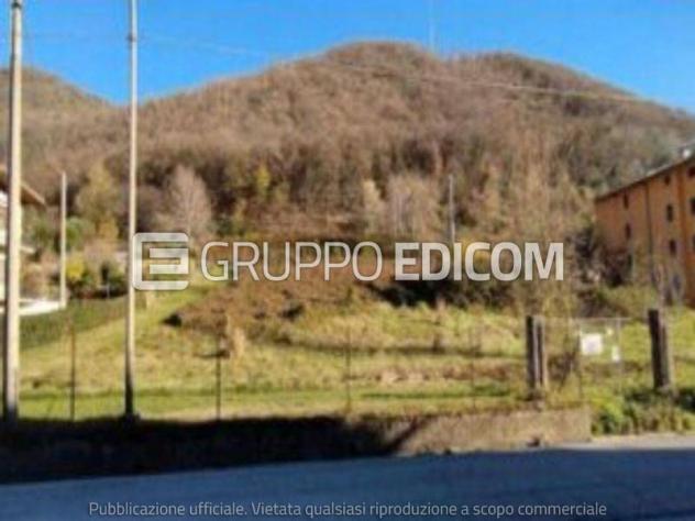 terreno agricolo in vendita a Grezzana