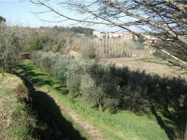 terreno agricolo in vendita ad Illasi