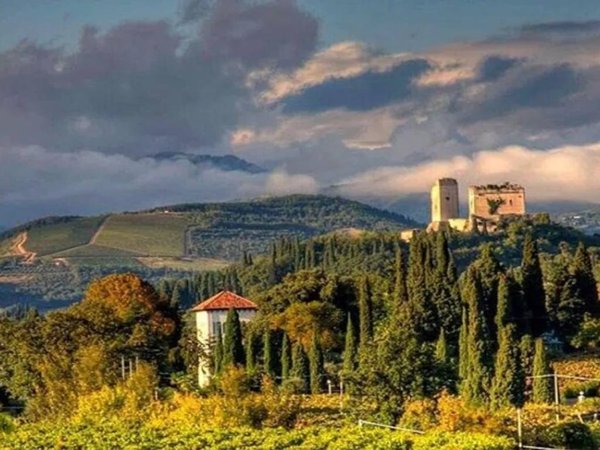 terreno agricolo in vendita ad Illasi