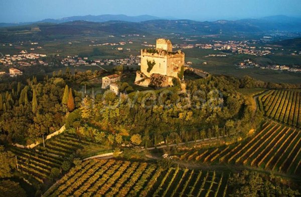 appartamento in vendita ad Illasi