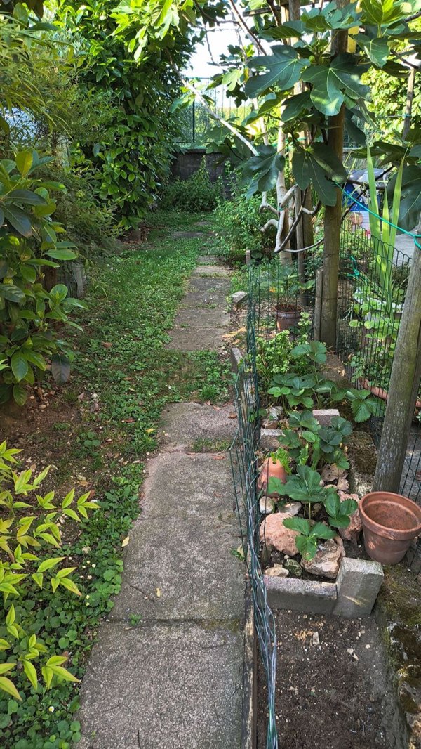 casa indipendente in vendita ad Illasi