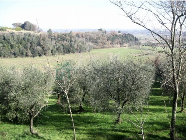 terreno agricolo in vendita ad Illasi