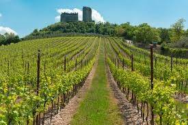 casa indipendente in vendita ad Illasi