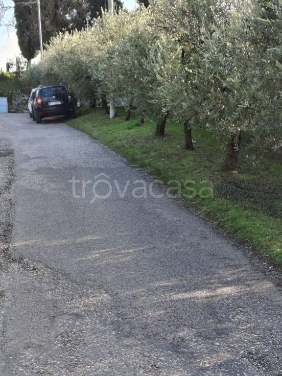 terreno agricolo in vendita ad Illasi