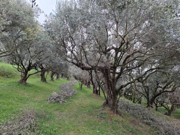 casa indipendente in vendita ad Illasi