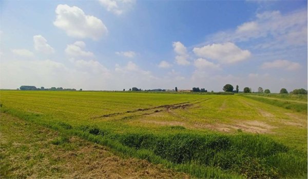 appartamento in vendita ad Isola della Scala in zona Caselle