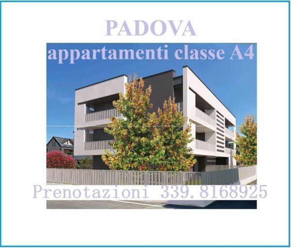 appartamento in vendita ad Isola della Scala in zona Pellegrina