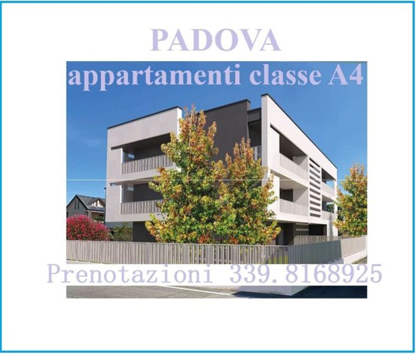 appartamento in vendita ad Isola della Scala in zona Pellegrina