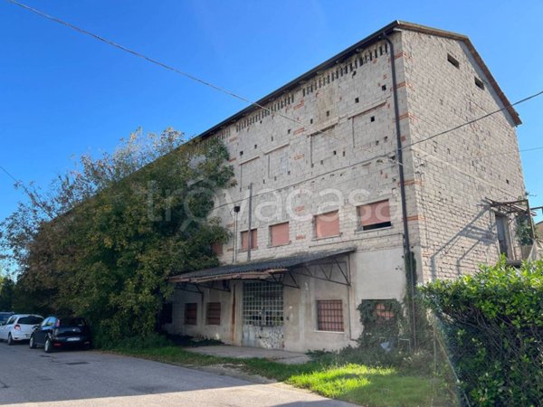 terreno agricolo in vendita ad Isola della Scala