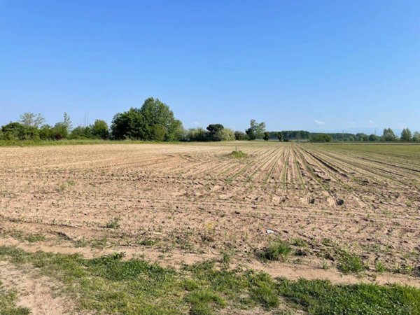 terreno agricolo in vendita ad Isola della Scala