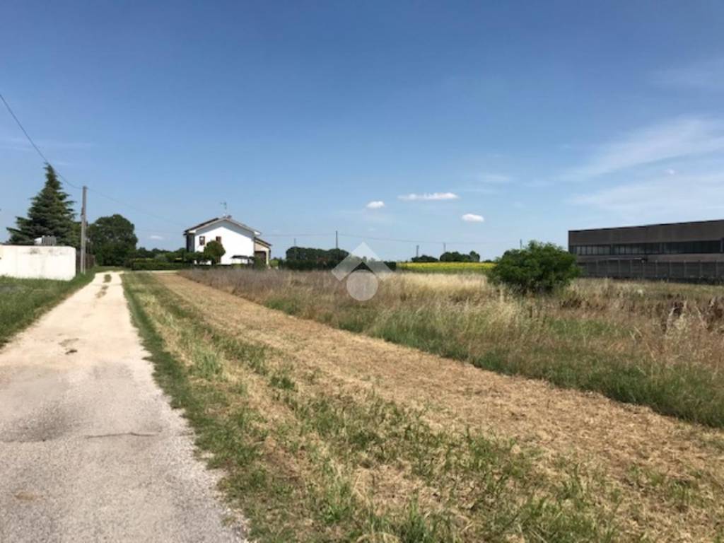 terreno agricolo in vendita ad Isola della Scala