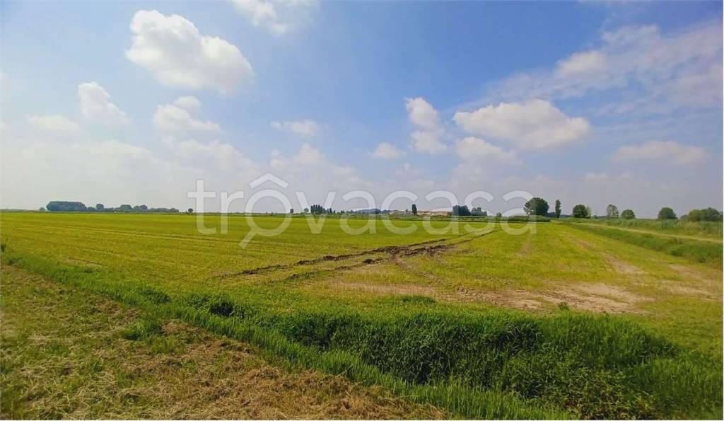 terreno agricolo in vendita ad Isola della Scala in zona Caselle