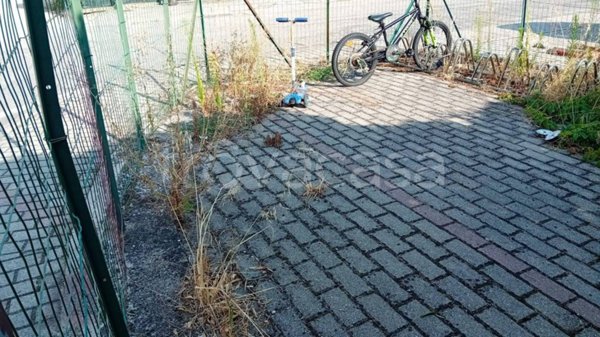 terreno agricolo in vendita ad Isola della Scala