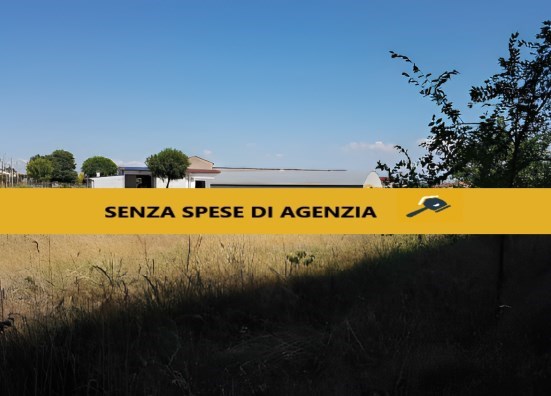 negozio in vendita ad Isola della Scala