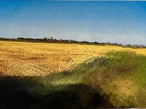 terreno agricolo in vendita ad Isola della Scala in zona Caselle