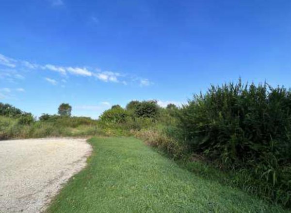 terreno edificabile in vendita ad Isola della Scala in zona Tarmassia