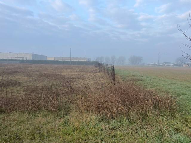 terreno agricolo in vendita ad Isola della Scala