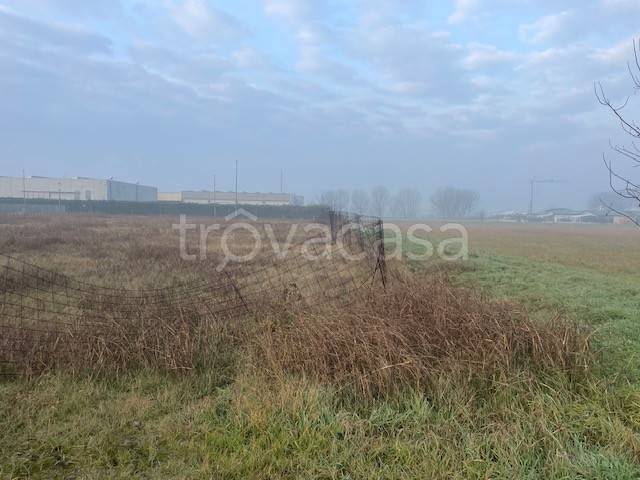 terreno agricolo in vendita ad Isola della Scala