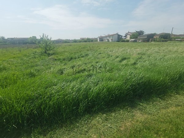 terreno agricolo in vendita ad Isola della Scala in zona Pellegrina