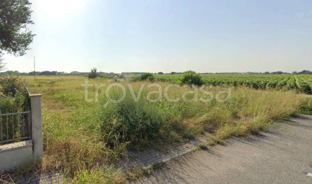 terreno edificabile in vendita ad Isola Rizza