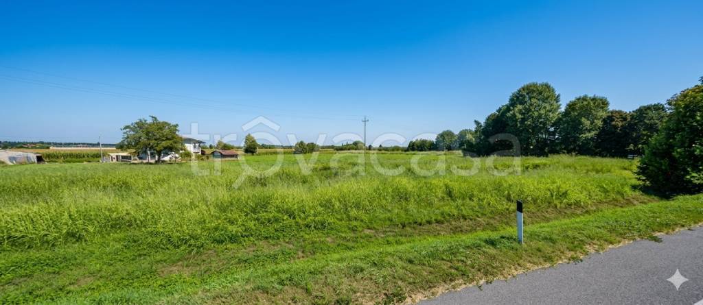 terreno agricolo in vendita ad Isola Rizza