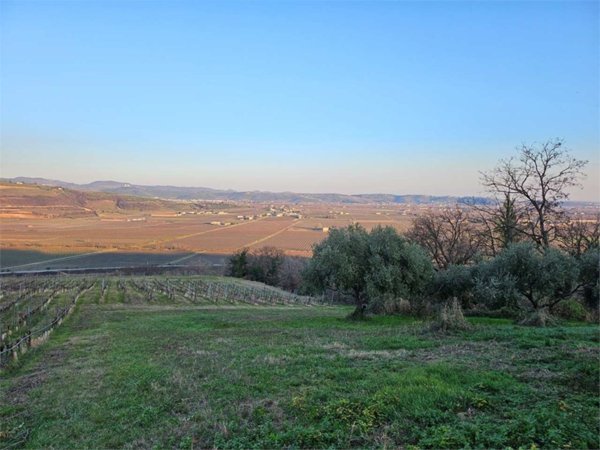 terreno agricolo in vendita a Lavagno in zona San Briccio