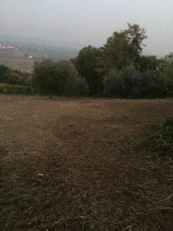 terreno edificabile in vendita a Lavagno in zona San Briccio