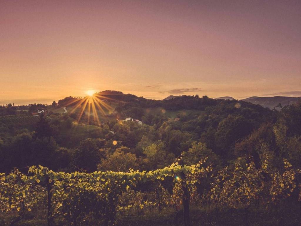 terreno agricolo in vendita a Lavagno