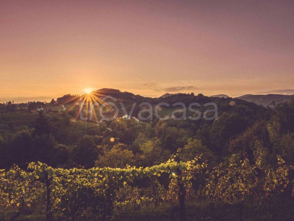 terreno agricolo in vendita a Lavagno