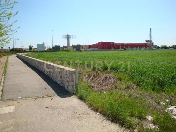 terreno agricolo in vendita a Lavagno in zona Vago