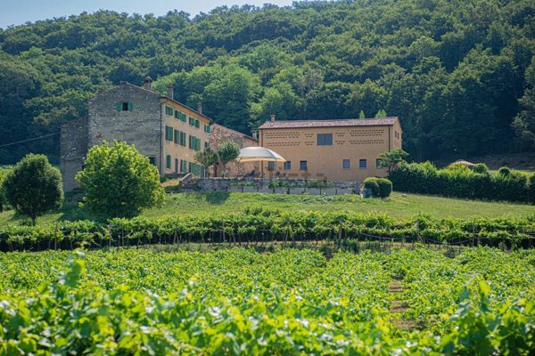 villa in vendita a Lavagno