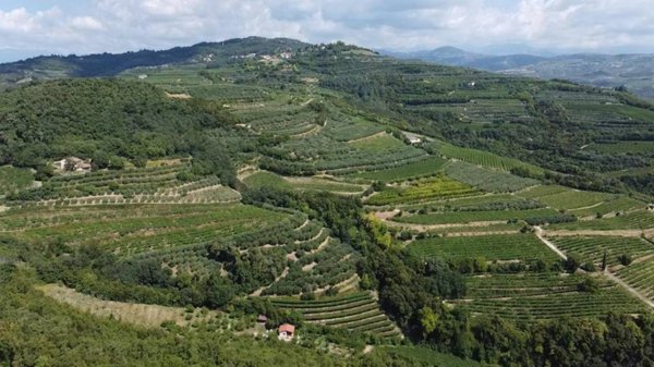 terreno agricolo in vendita a Lavagno in zona San Briccio